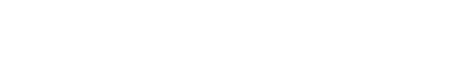 Company 11